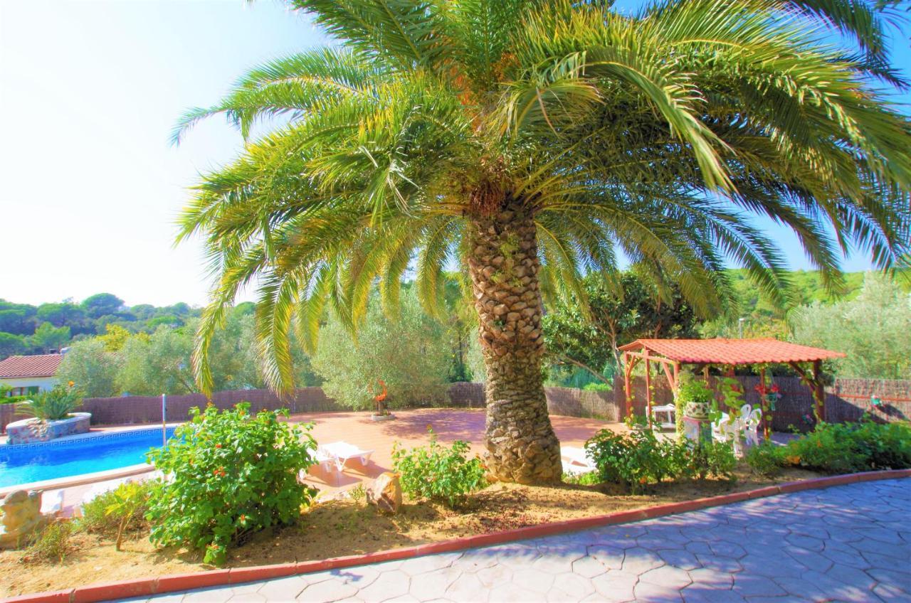 Vacances & Villas Lloret-Villa Dali