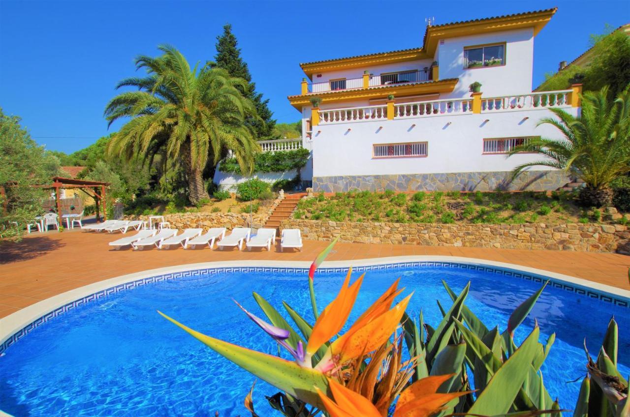 Villa Vacances & Villas Lloret-Villa Dali Lloret de Mar